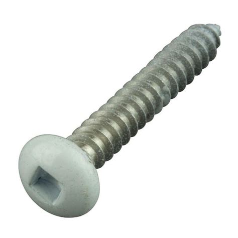 white head sheet metal screws|white painted stainless steel screws.